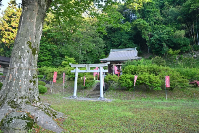 災害を受けたことがない神社